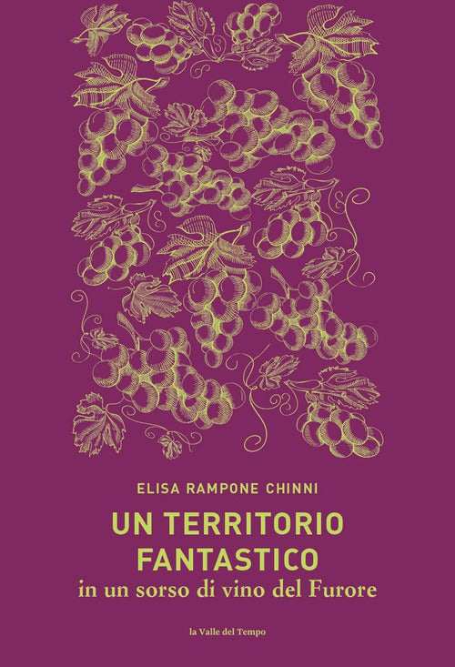 Un territorio fantastico in un sorso di vino del Furore