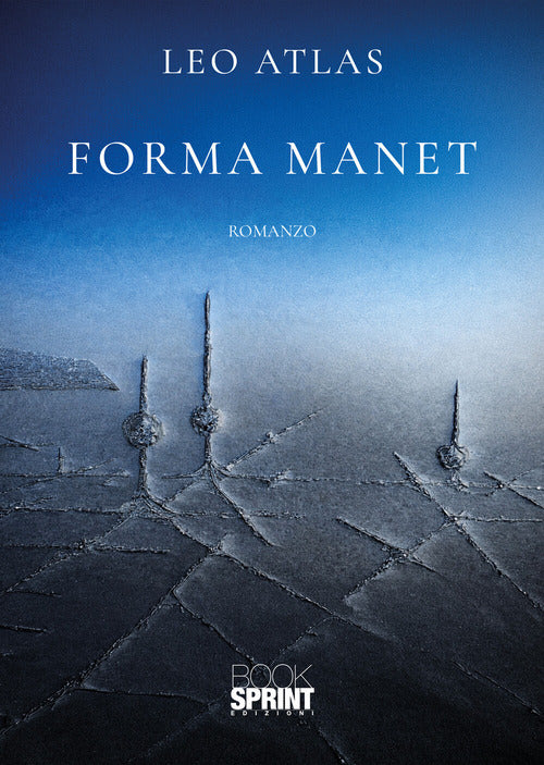 Forma manet