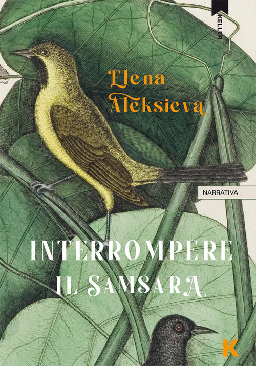 Interrompere il samsara