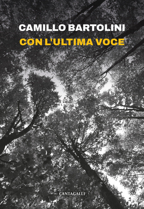 Con l'ultima voce