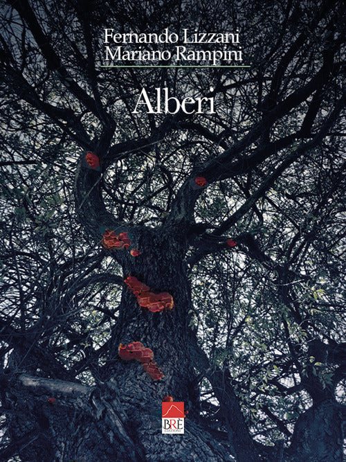 Cover of Alberi