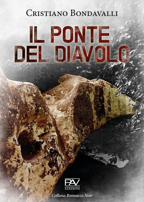 Cover of ponte del diavolo