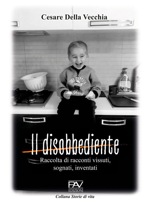 Cover of disobbediente. Raccolta di racconti vissuti, sognati, inventati