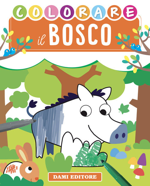Cover of Colorare il bosco