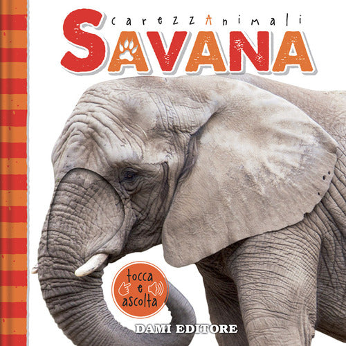 Cover of Savana. CarezzAnimali tocca e ascolta