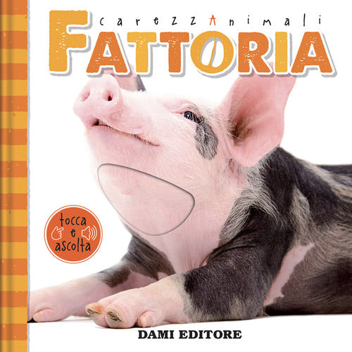 Cover of Fattoria. CarezzAnimali tocca e ascolta