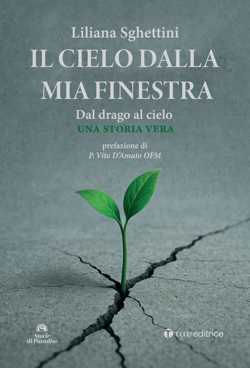 Il cielo dalla mia finestra