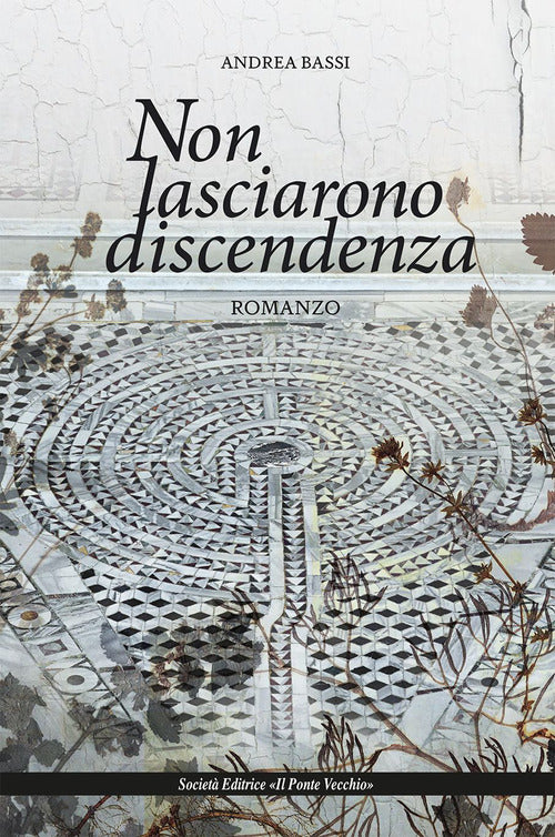 Cover of Non lasciarono discendenza