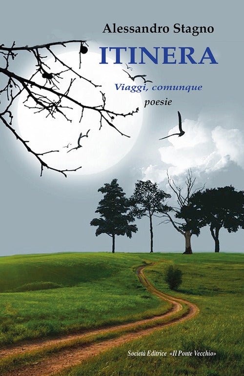 Itinera. Viaggi, comunque
