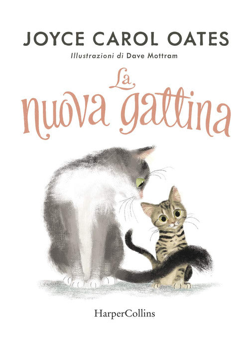 La nuova gattina