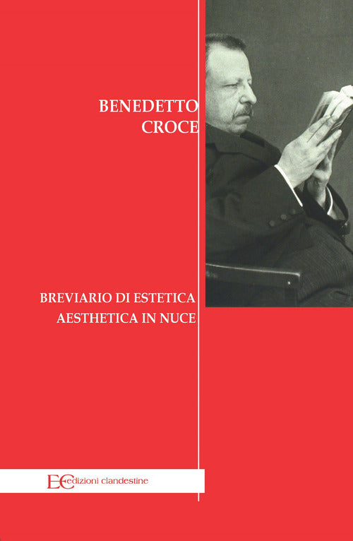 Cover of Breviario di estetica-Aesthetica in nuce