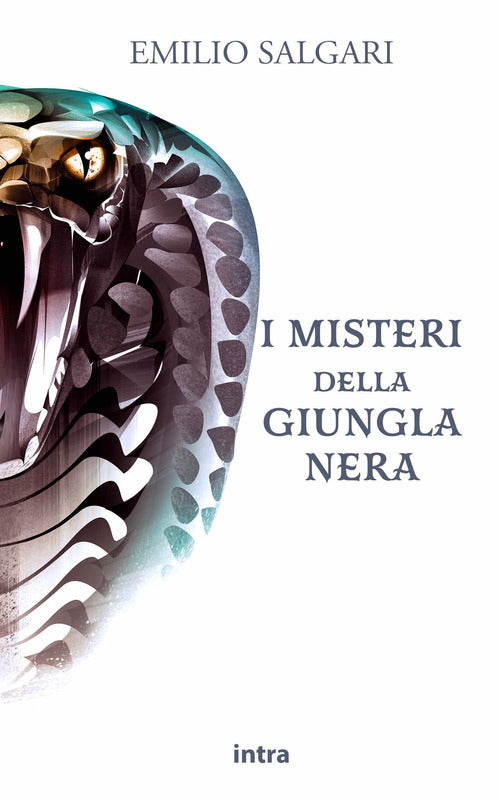 Cover of misteri della giungla nera