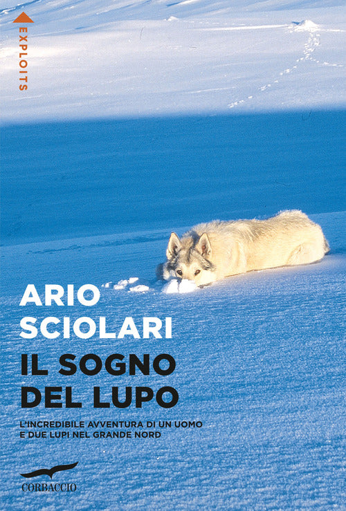 Cover of sogno del lupo
