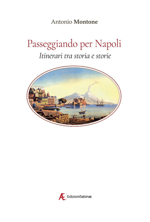 Cover of Passeggiando per Napoli. Itinerari tra storia e storie