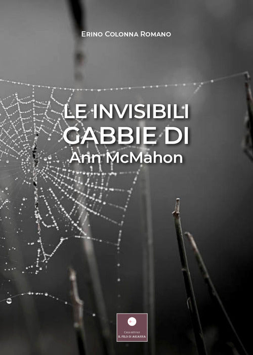 Cover of invisibili gabbie di Ann McMahon