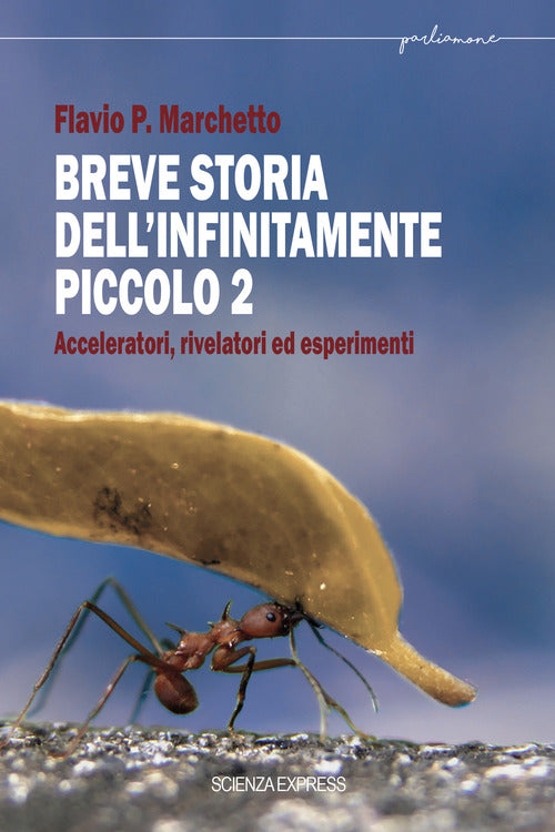 Cover of Breve storia dell'infinitamente piccolo