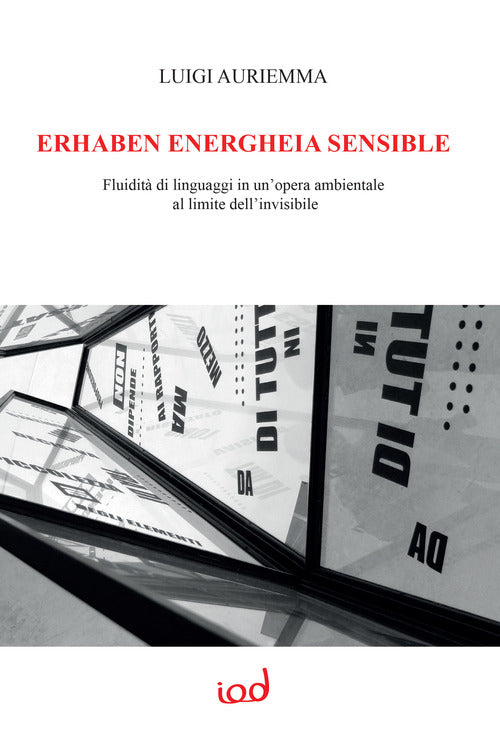 Cover of Erhaben energheia sensible. Fluidità di linguaggi in un'opera ambientale al limite dell’invisibile