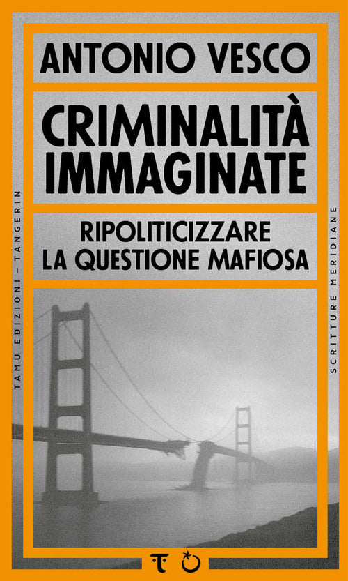 Criminalit immaginate. Ripoliticizzare la questione mafiosa