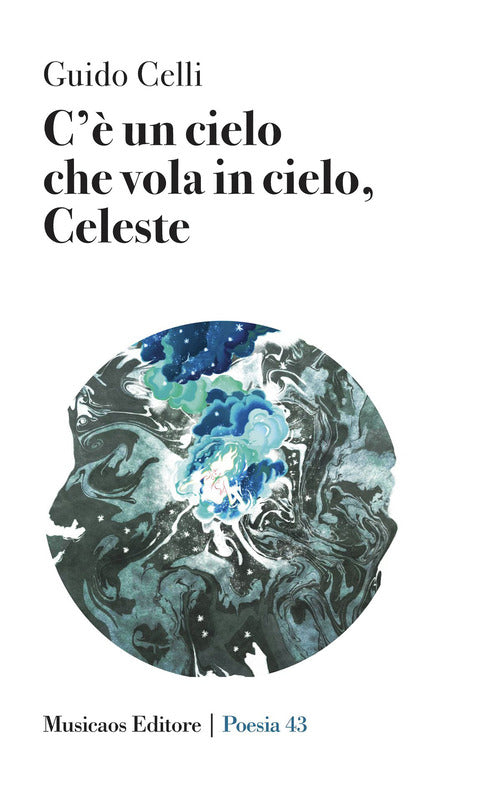 Cover of C'è un cielo che vola in cielo, Celeste