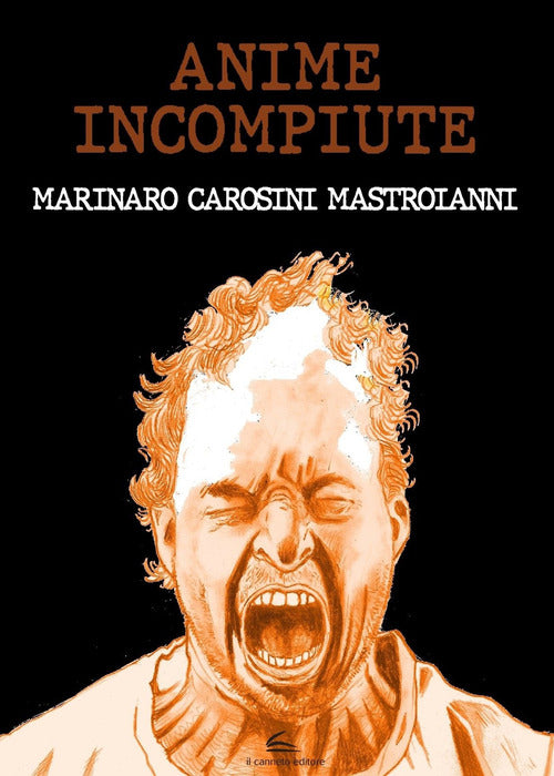Cover of Anime incompiute