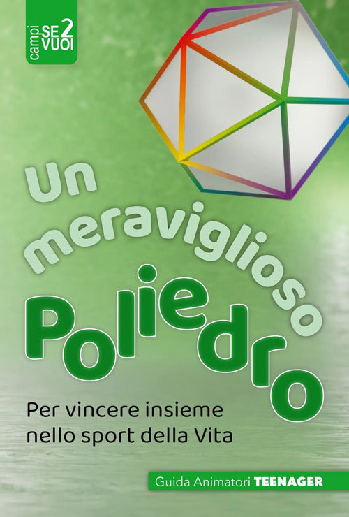 Cover of meravigli. Poliedro. Teenager 11/17