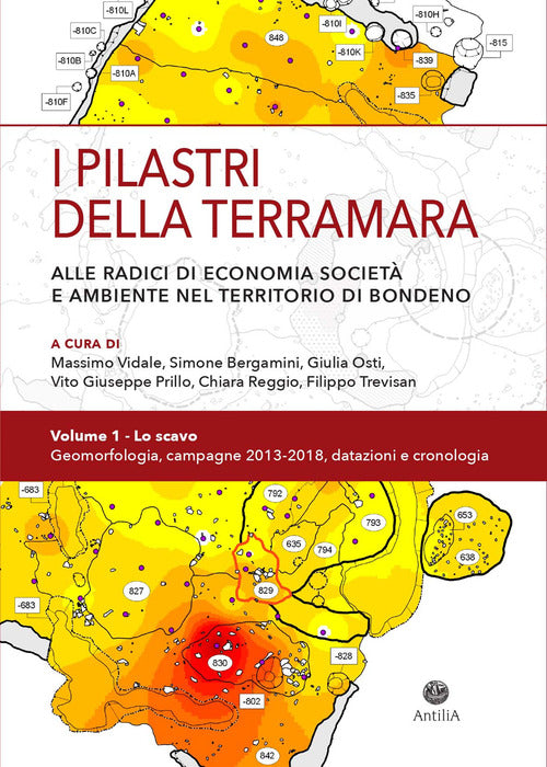 Cover of pilastri della Terramara. Alle radici di economia, società e ambiente nel territorio di Bondeno