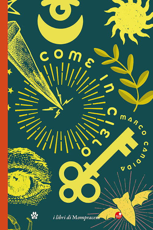 Cover of Come in cielo