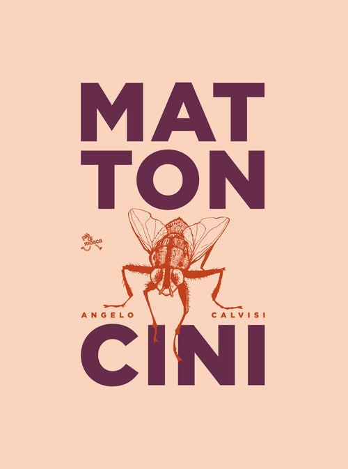 Cover of Mattoncini