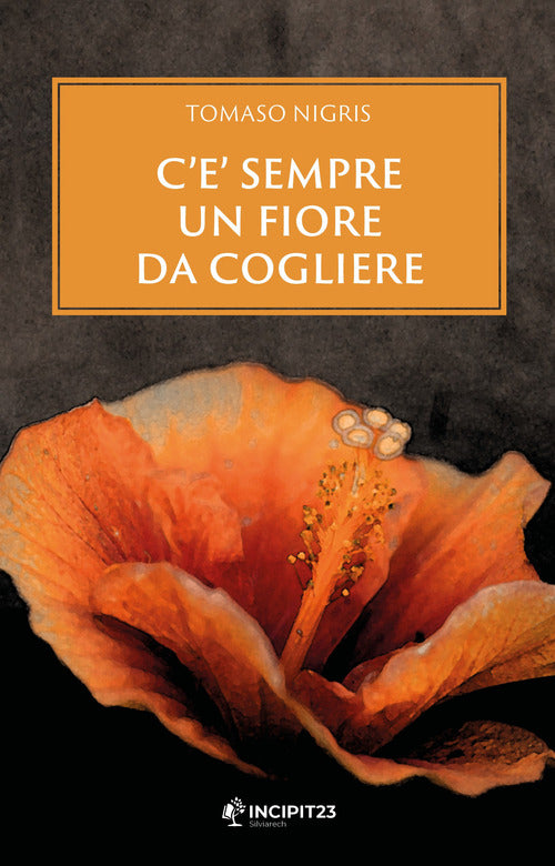 Cover of C'è sempre un fiore da cogliere