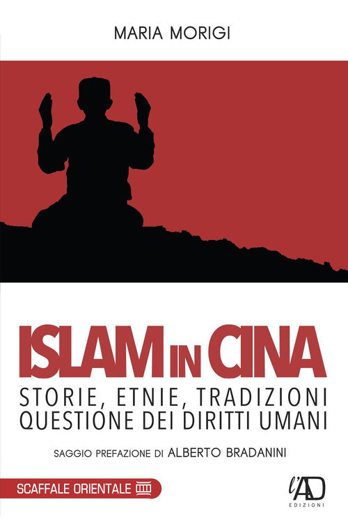Cover of Islam in Cina