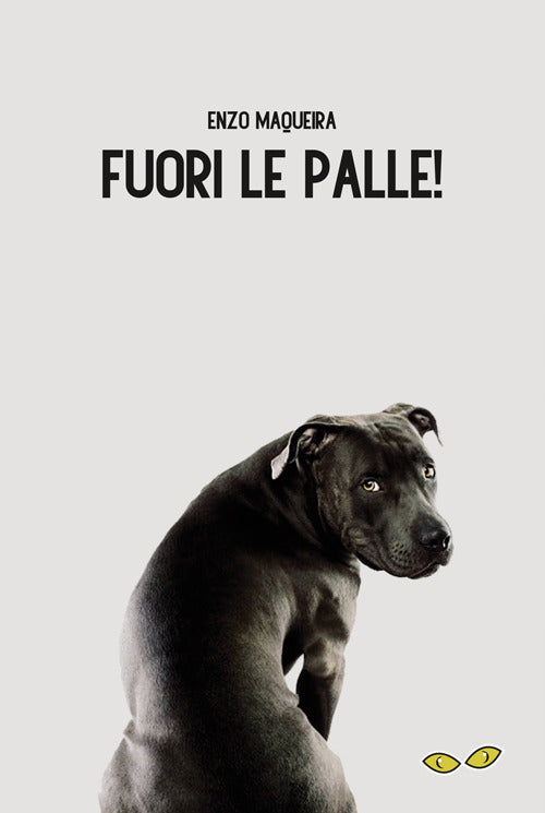 Cover of Fuori le palle!