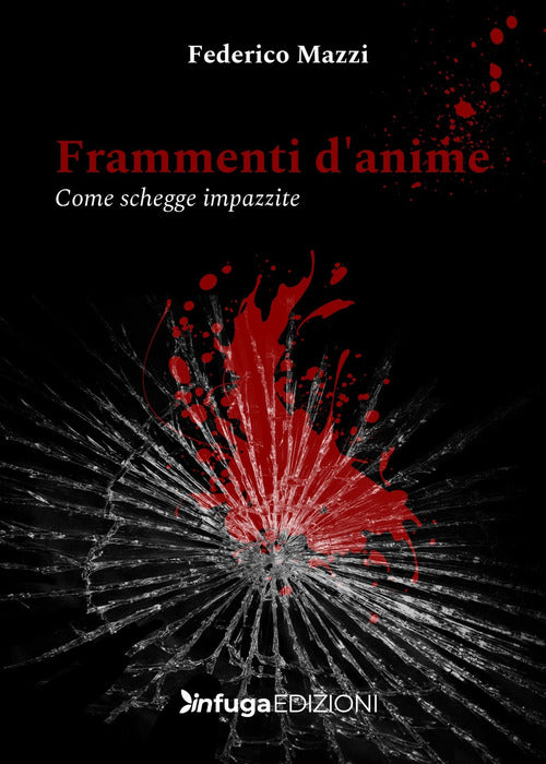 Cover of Frammenti d'anime. Come schegge impazzite