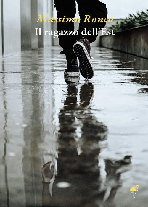 Cover of ragazzo dell'est