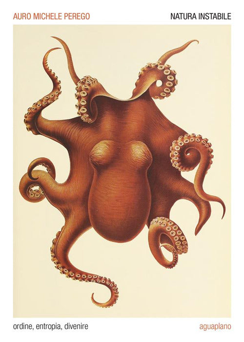 Cover of Natura instabile. Ordine, entropia, divenire