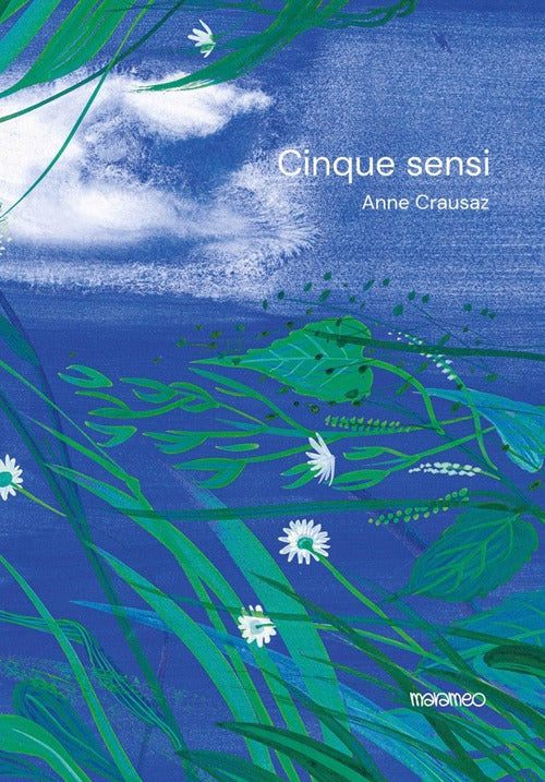 Cover of cinque sensi