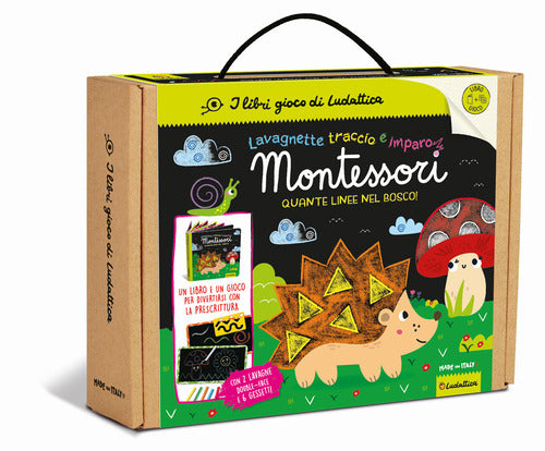 Quante linee nel bosco!