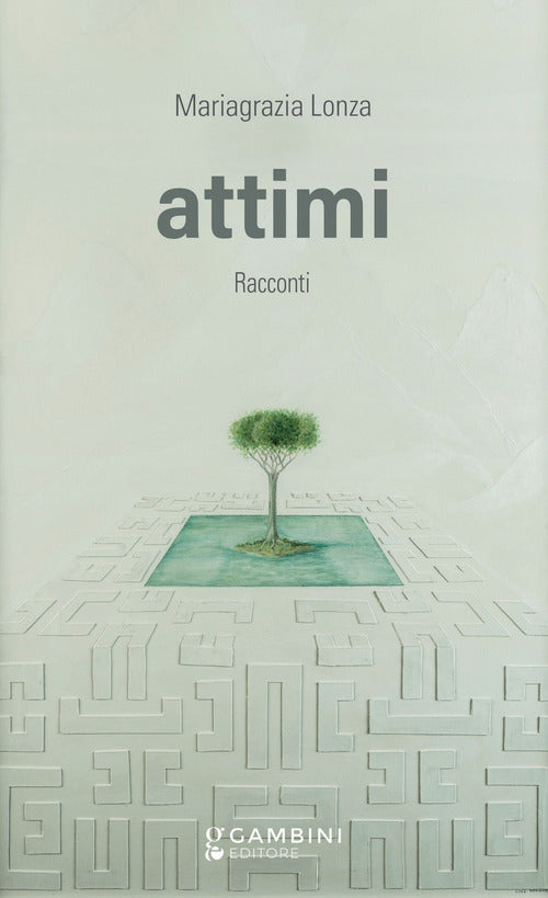 Cover of Attimi
