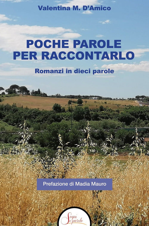 Poche parole per raccontarlo. Romanzi in dieci parole