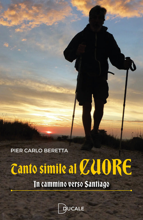 Tanto simile al cuore. In cammino verso Santiago