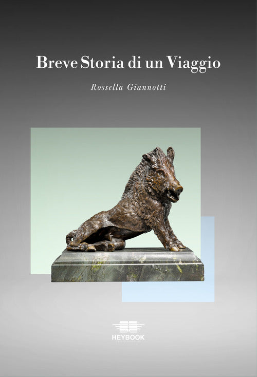 Breve storia di un viaggio