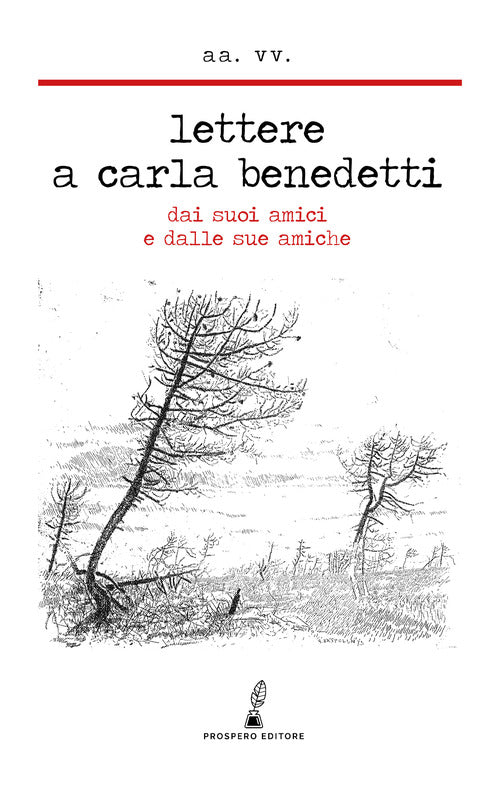 Cover of Lettere a Carla Benedetti. Dai suoi amici e dalle sue amiche