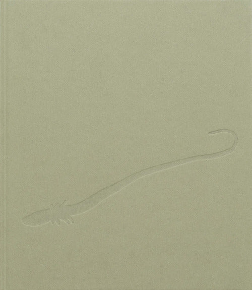 Cover of Chiara Camoni. Serpentesse