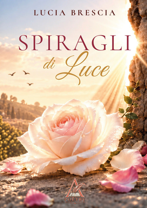 Spiragli di luce