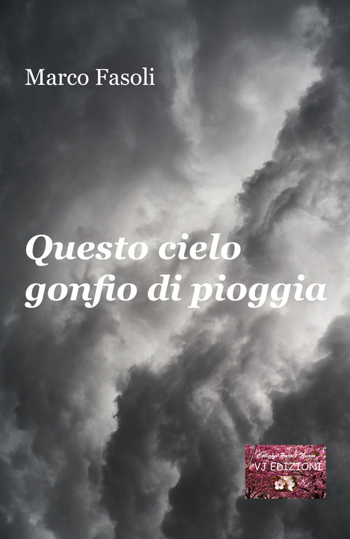 Cover of Questo cielo gonfio di pioggia