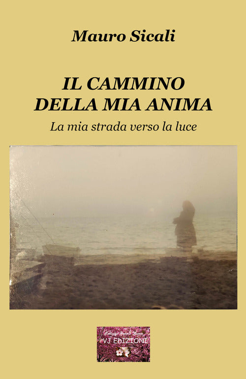 Cover of cammino della mia anima. La mia strada verso la luce
