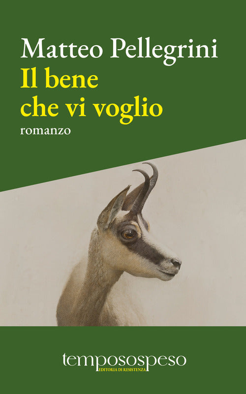 Il bene che vi voglio