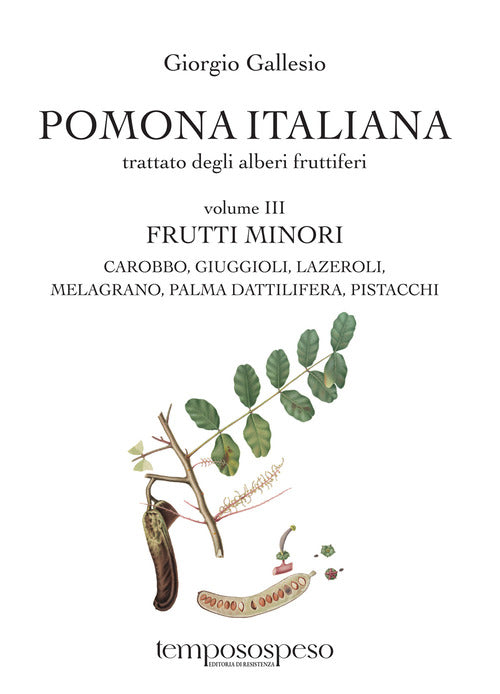 Pomona italiana ossia Trattato degli alberi fruttiferi. Vol. 3: Frutti minori. Carobbo, giuggioli, lazeroli, melograno, palma dattilifera, pistacchi