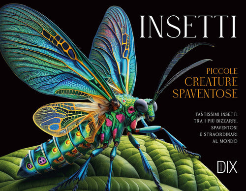 Gli insetti