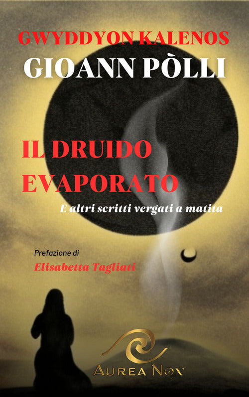 Cover of Druido evaporato. E altri scritti vergati a matita