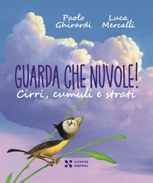 Guarda che nuvole